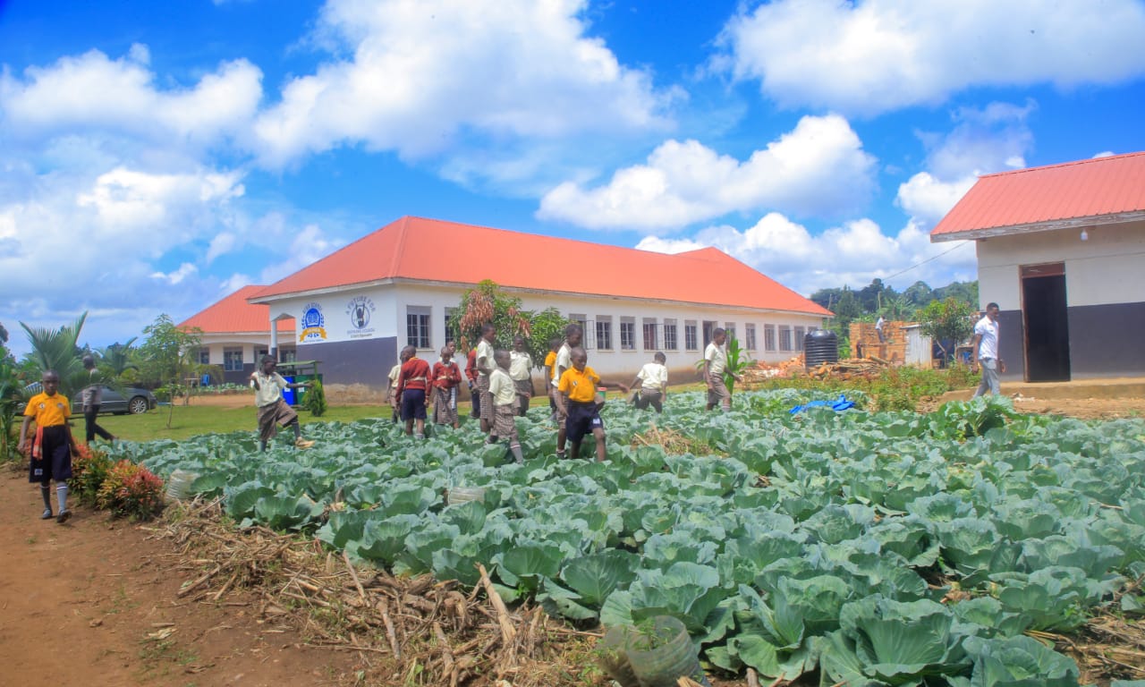 Farm garden plot